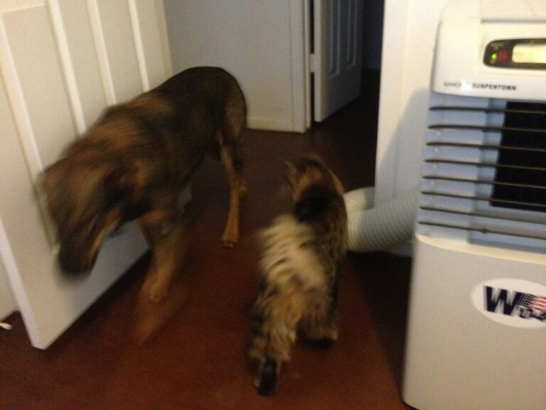 Crossing of the Guards