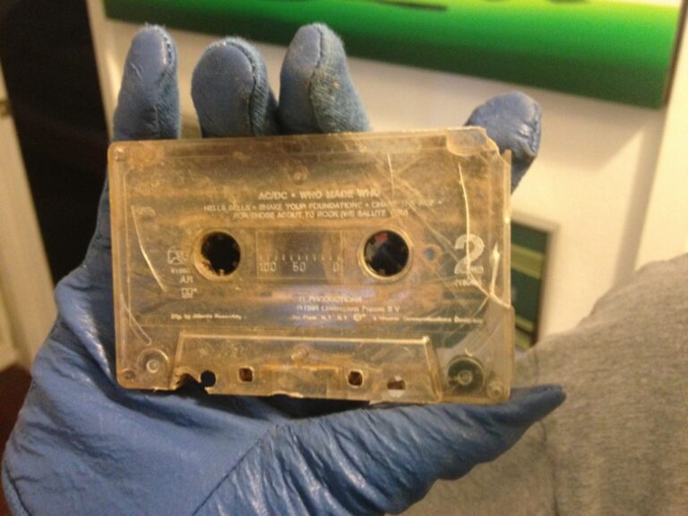 Jackpot Found in Yard