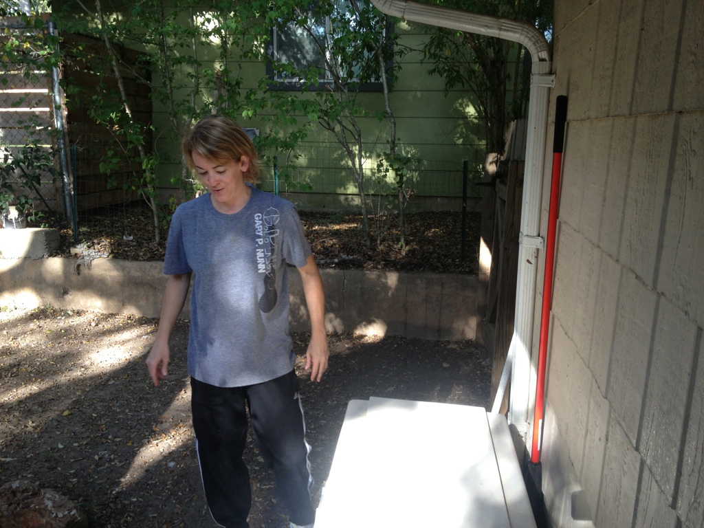 More Backyard Cleaning