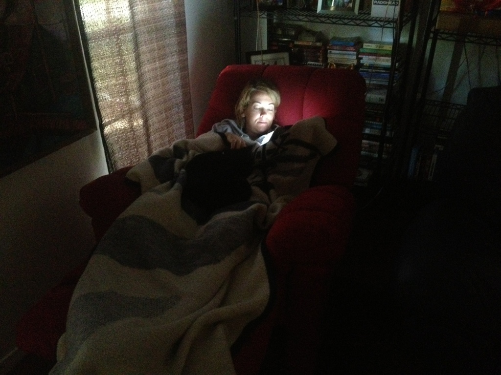 Proper Use of a House Cat