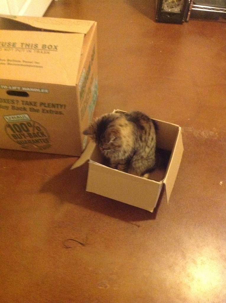 His Box
