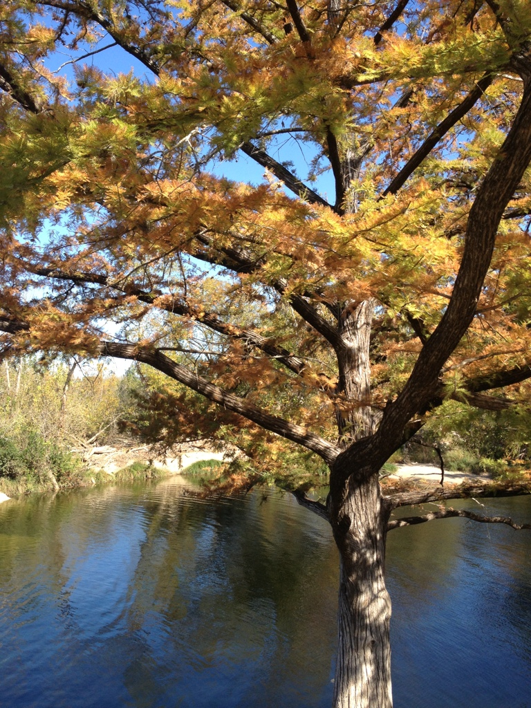 McKinney Falls State Park #1