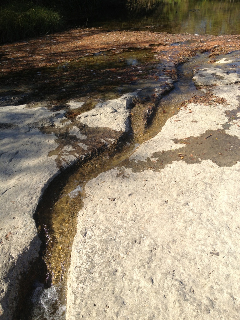 McKinney Falls State Park #2