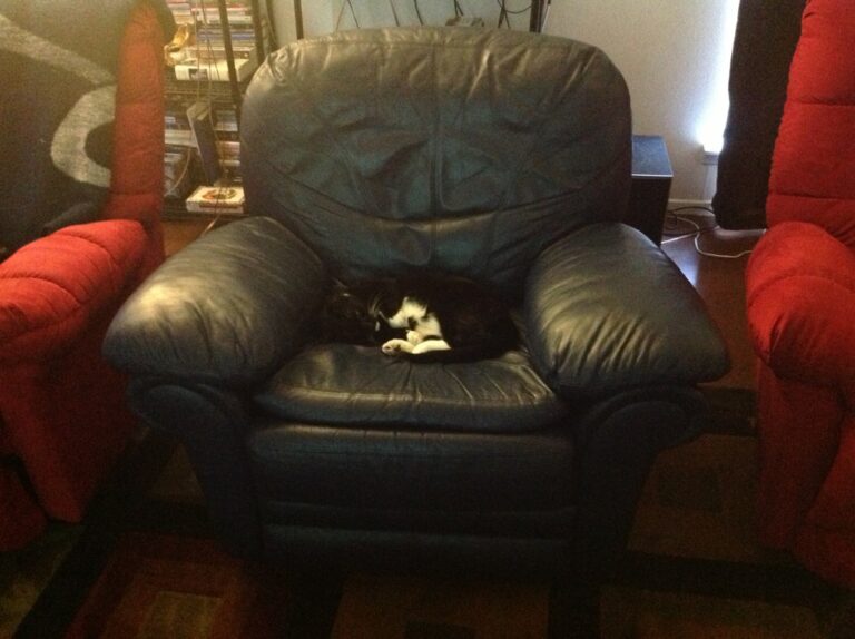 Extreme Sunday Napping