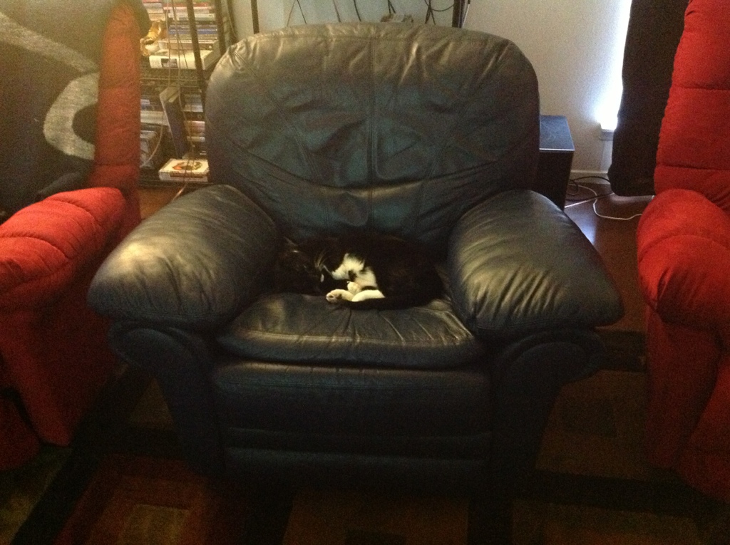 Extreme Sunday Napping