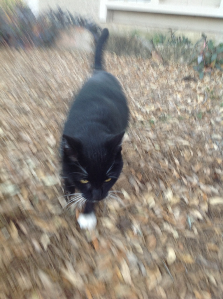 Don’t Leave Please