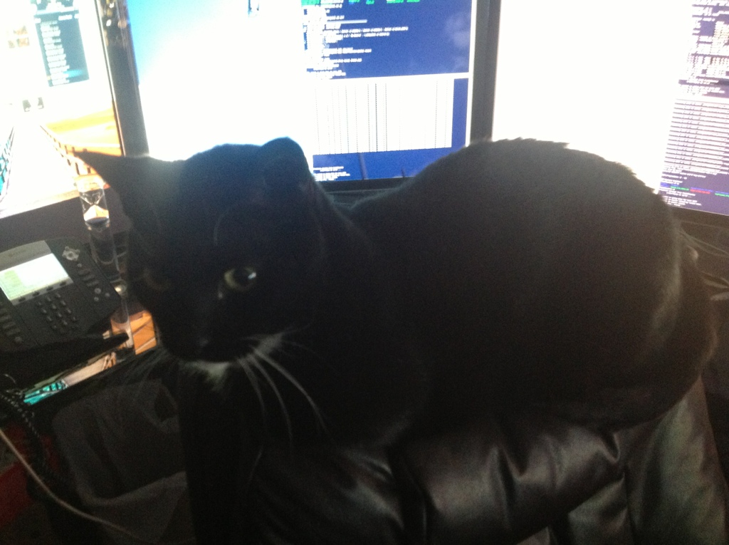 Taco at Nerd Central