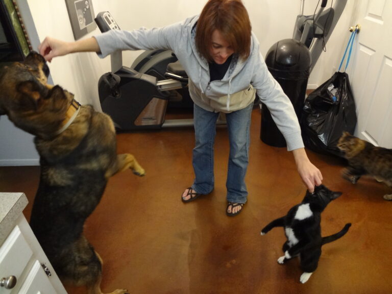 The Elusive Double Circus