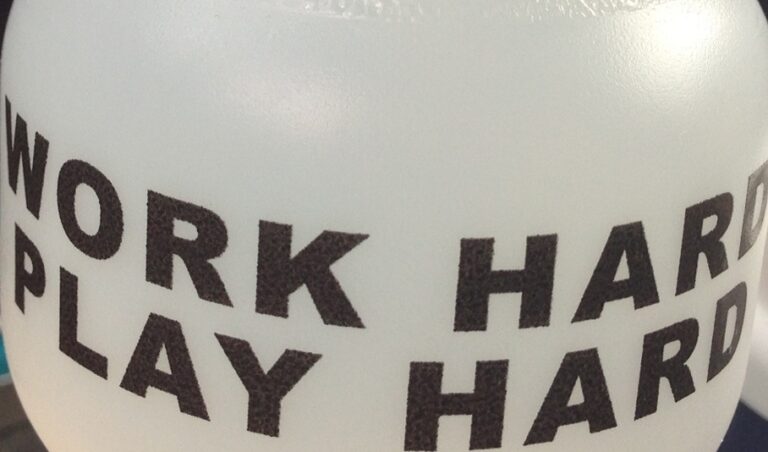 Work Hard Play Hard