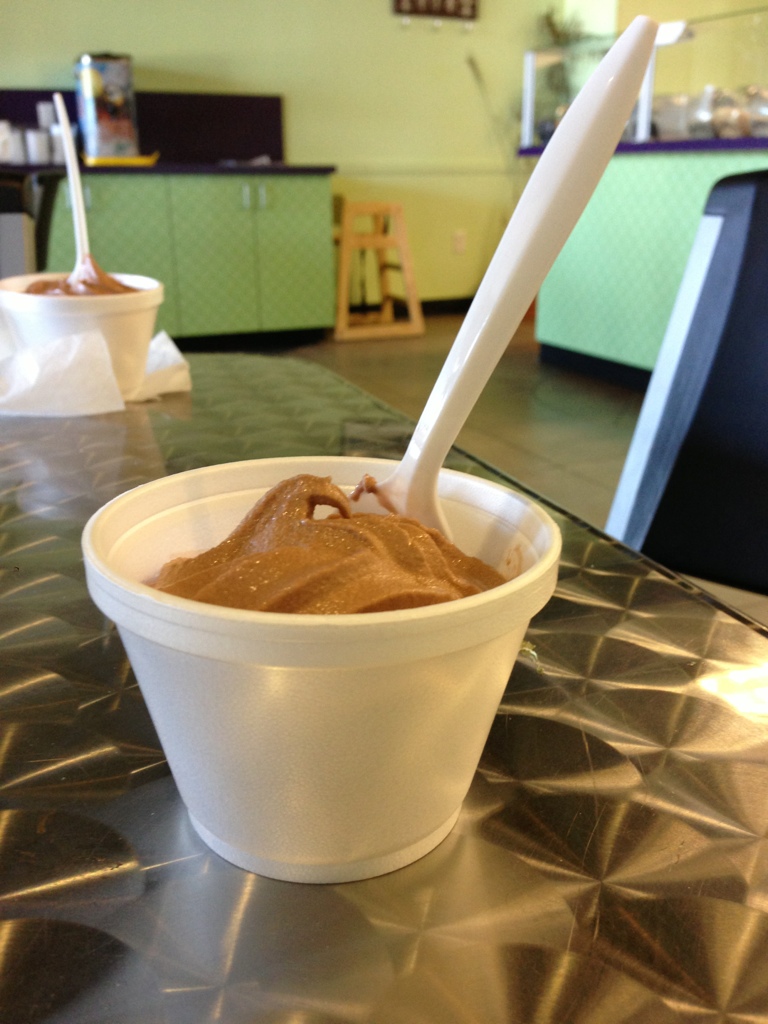 Frozen Yogurt for Lunch