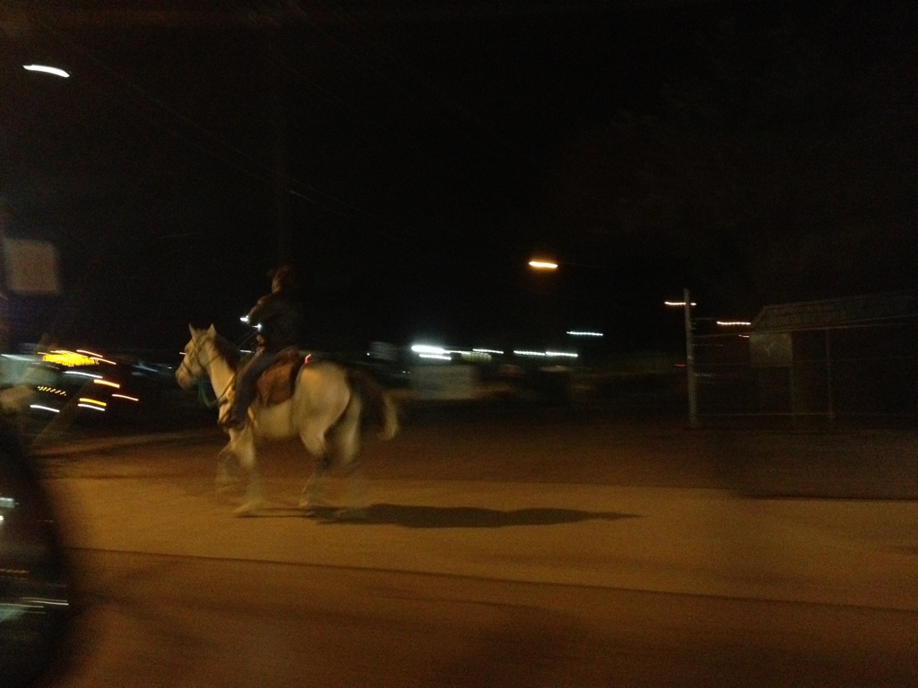 Ben White and Congress, Horse Country