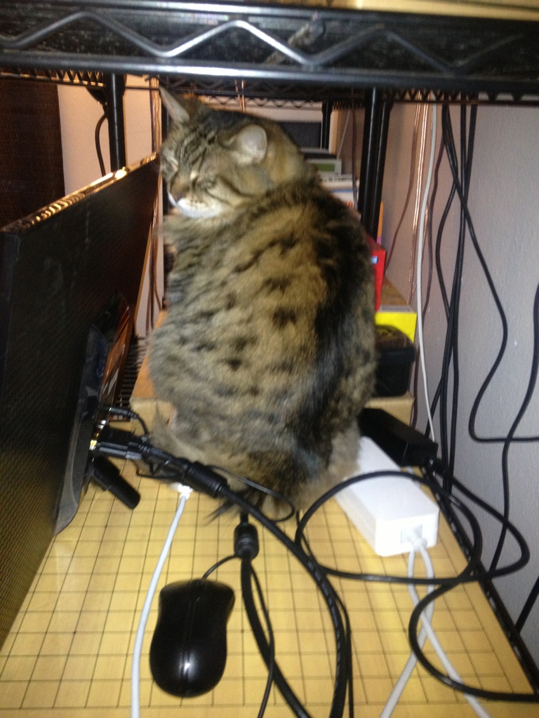 Inappropriate Use of Technology