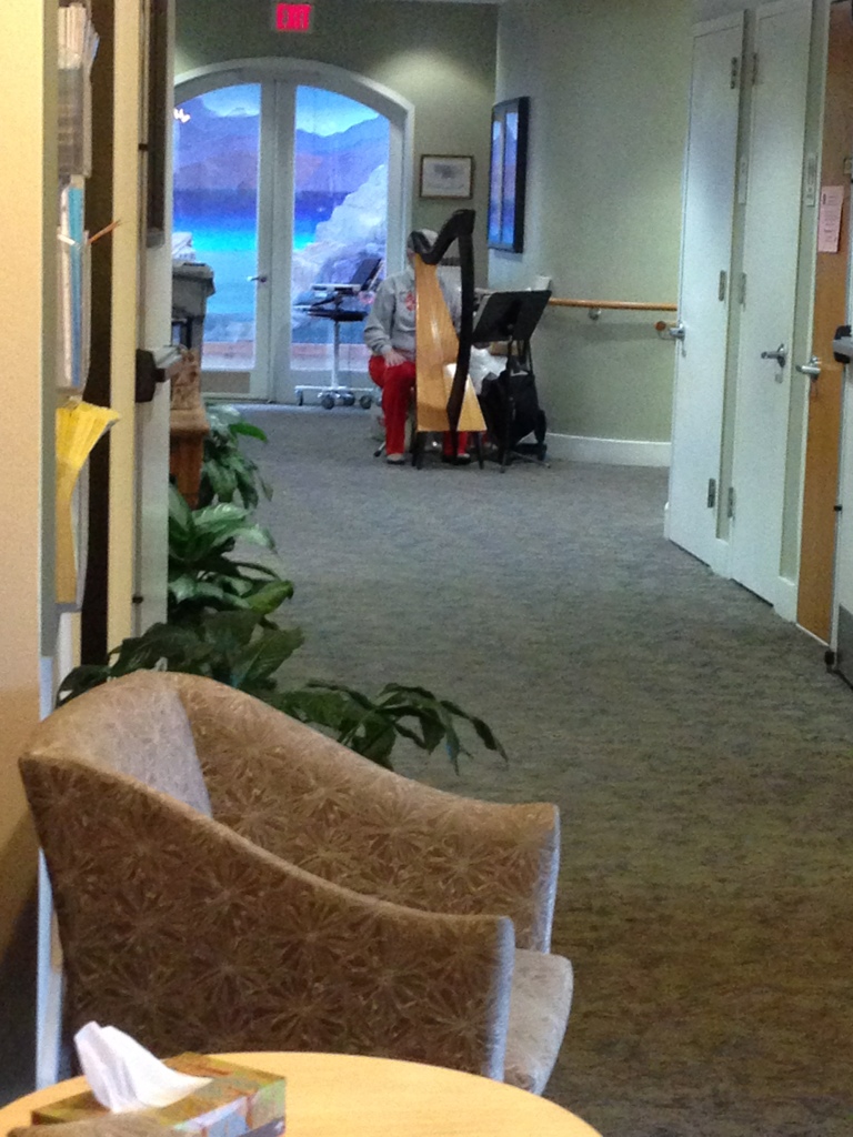 Volunteer Harp Player