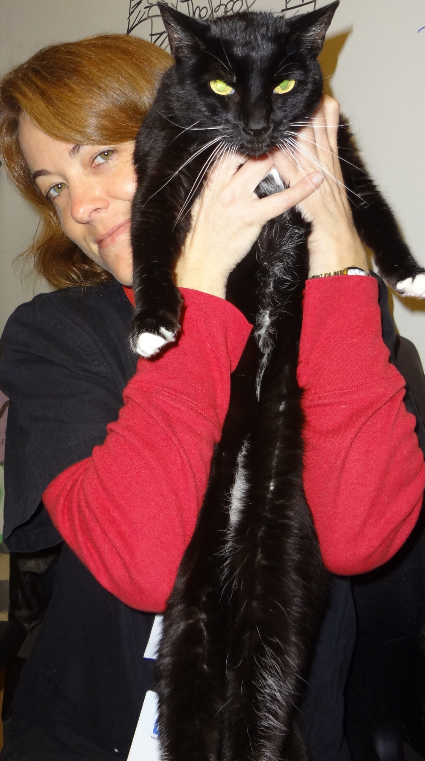 Long Cat Bob and Stacy