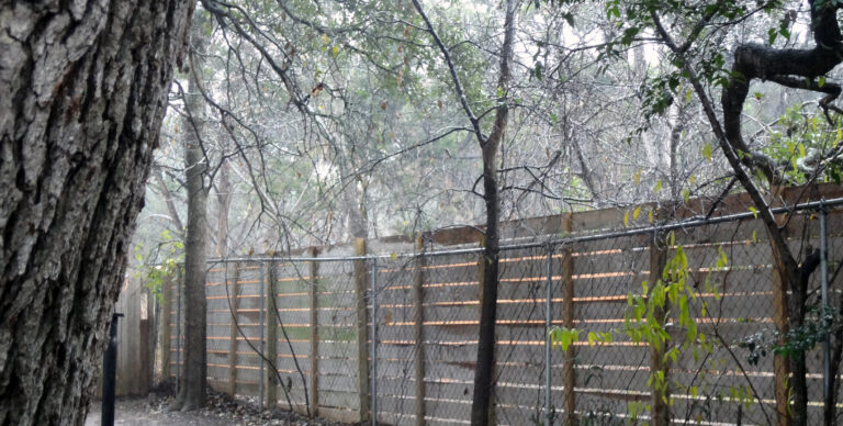 Endless Rain; It’s Nice