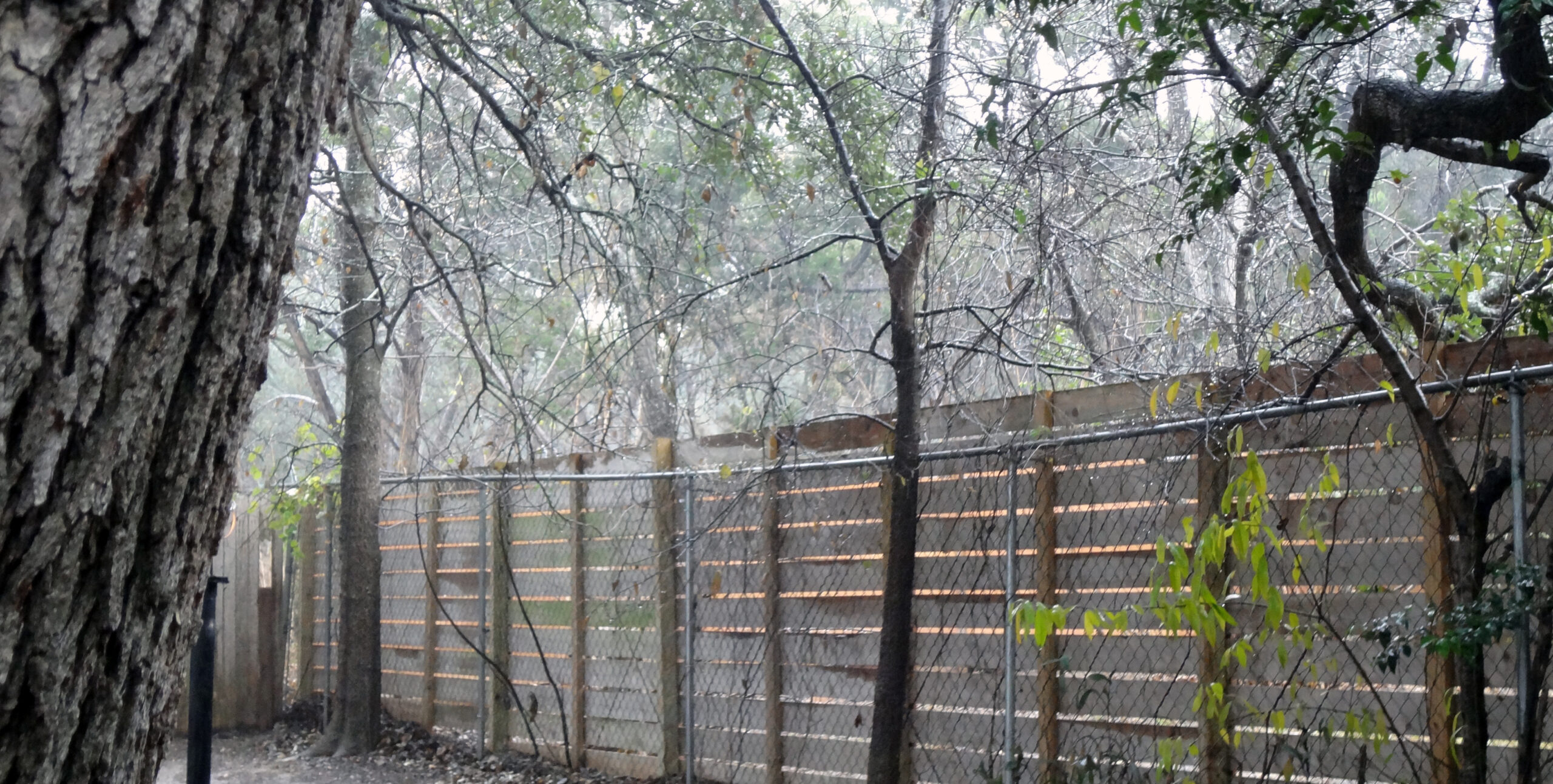 Endless Rain; It’s Nice