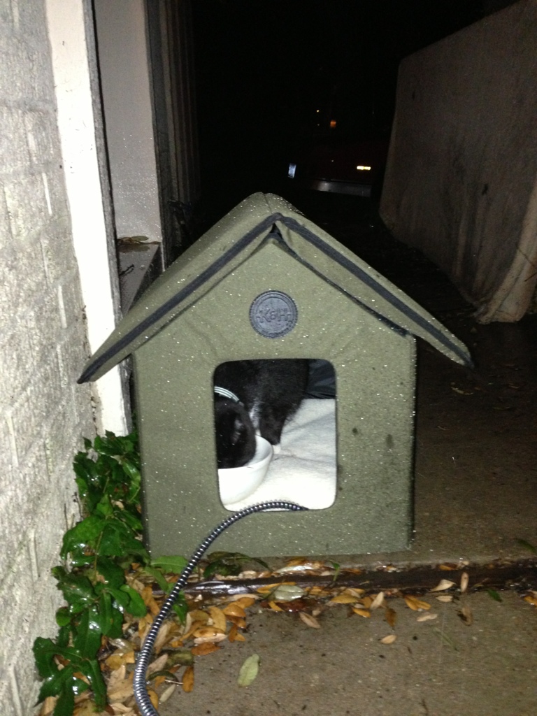 New Cat House