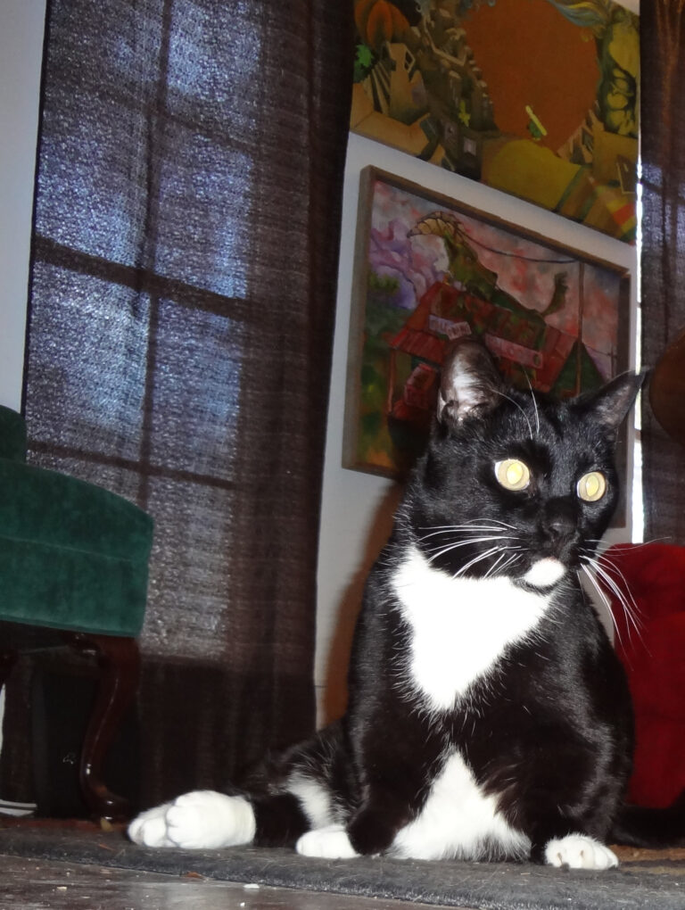 It Looks Like He Was Dropped From a Plane