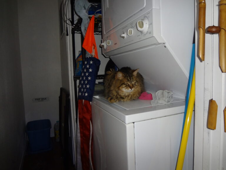 Eddie Doing Laundry