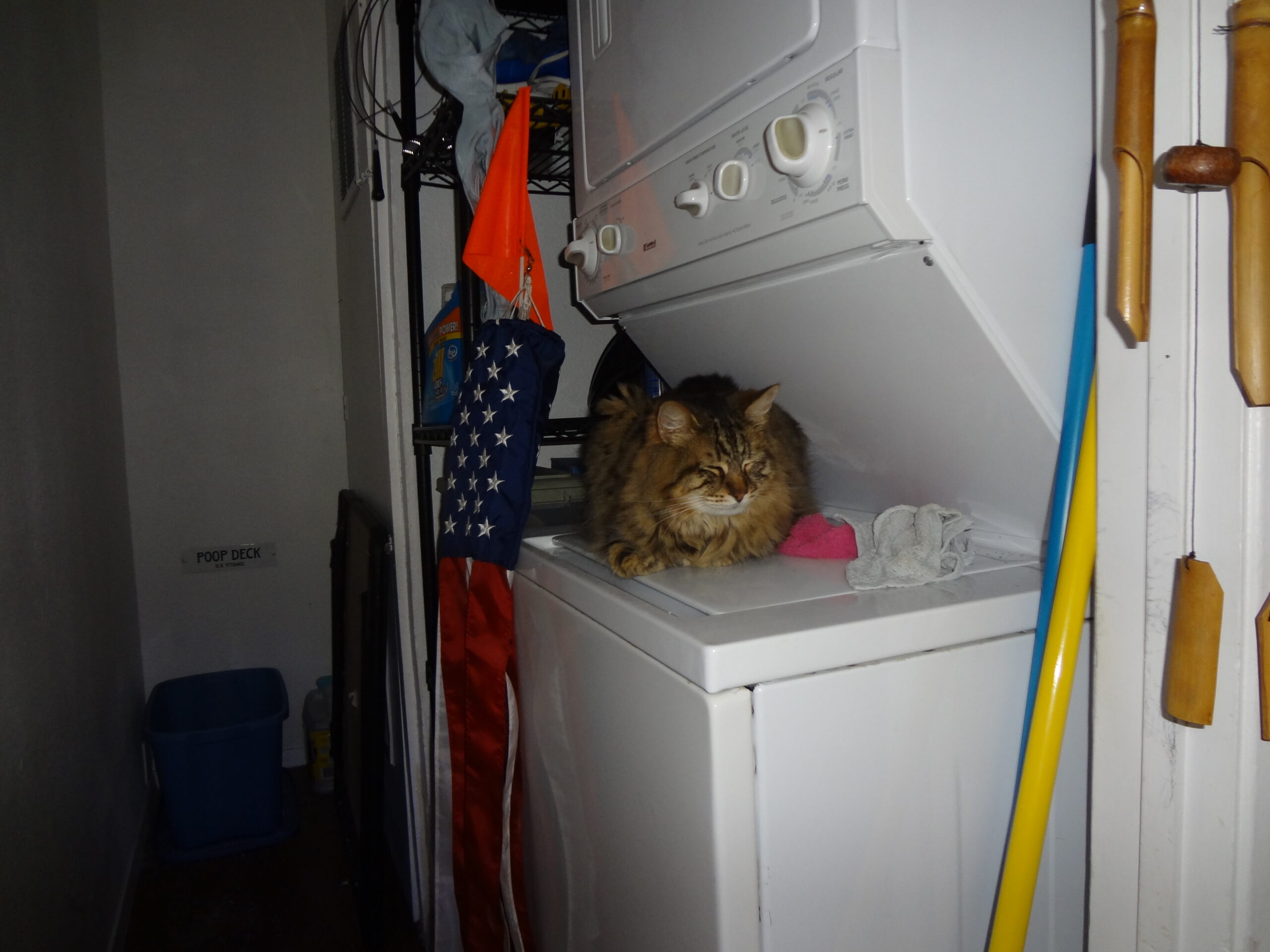 Eddie Doing Laundry