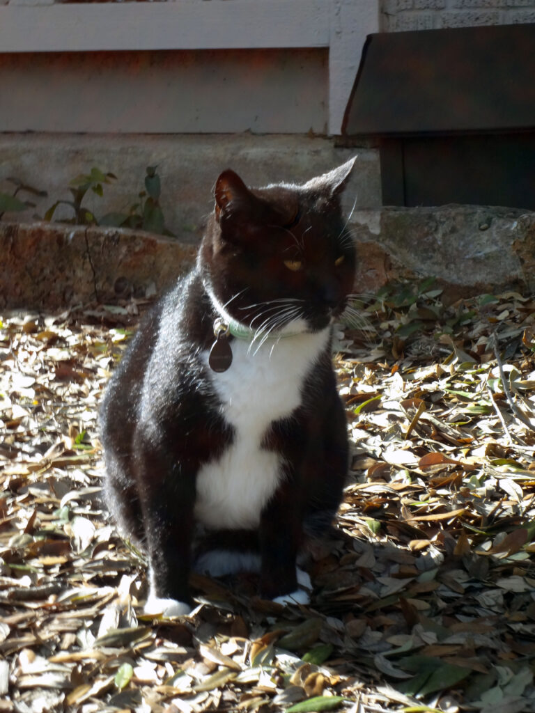 The Definition of Indifference