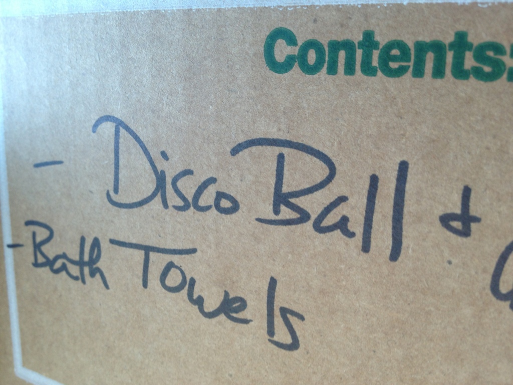 Disco Ball and Accessories