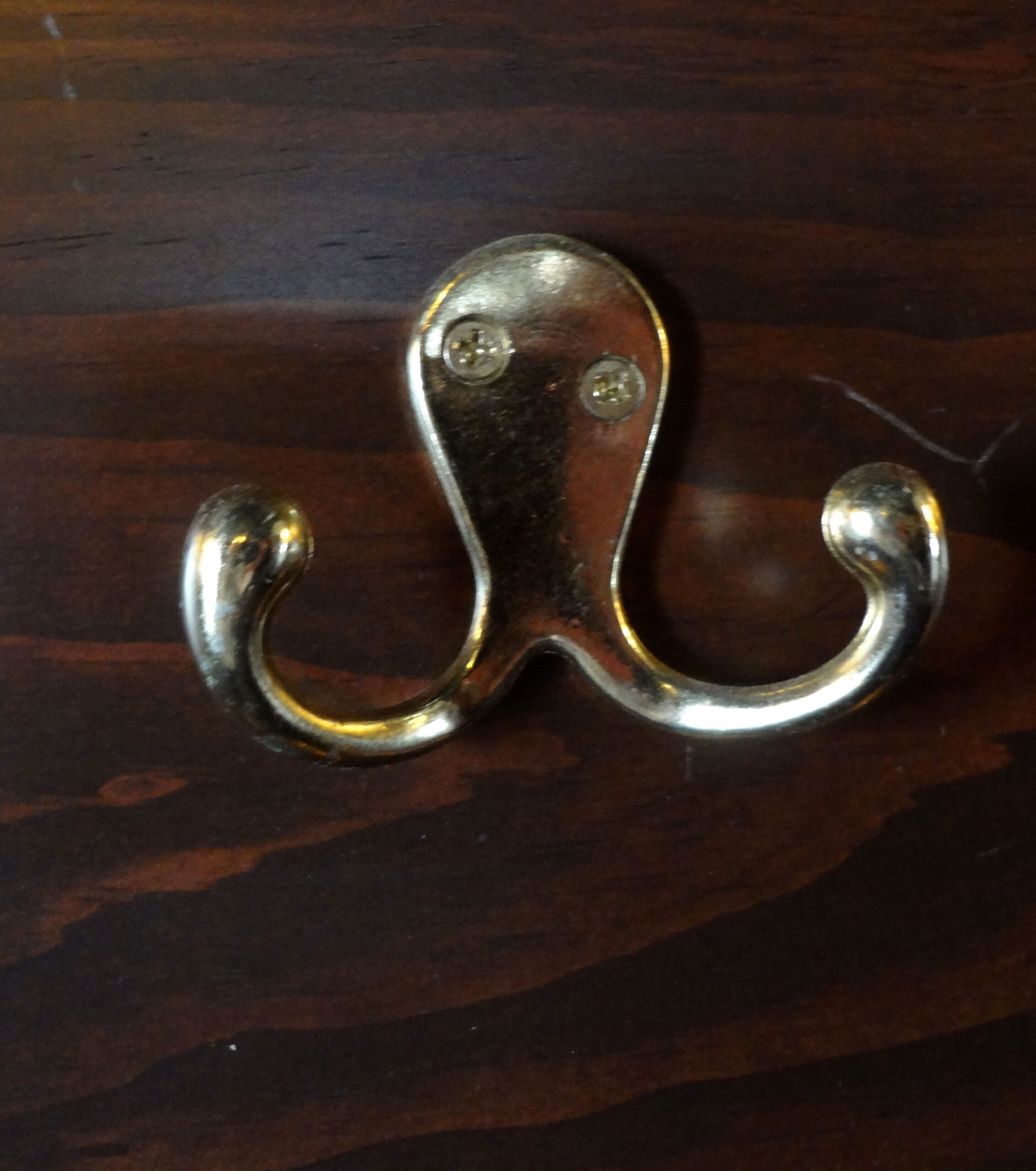We Found a Drunk Octopus!