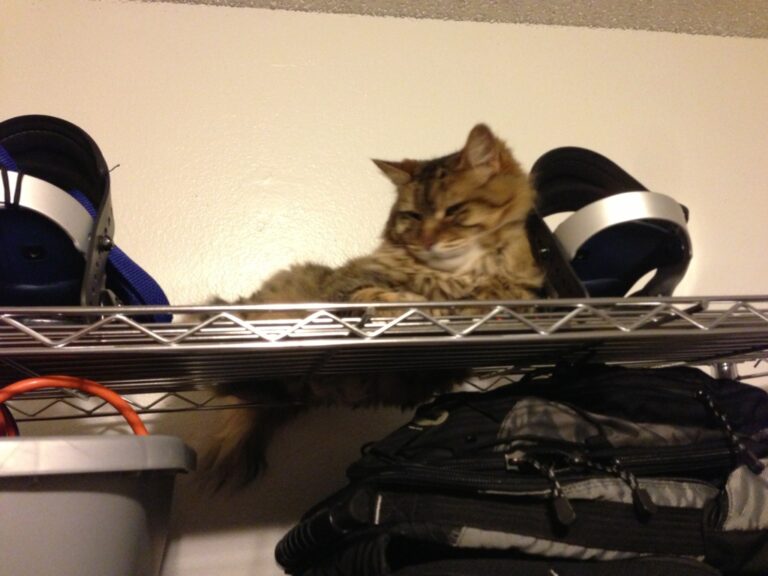 Eddie Loves to Snowboard