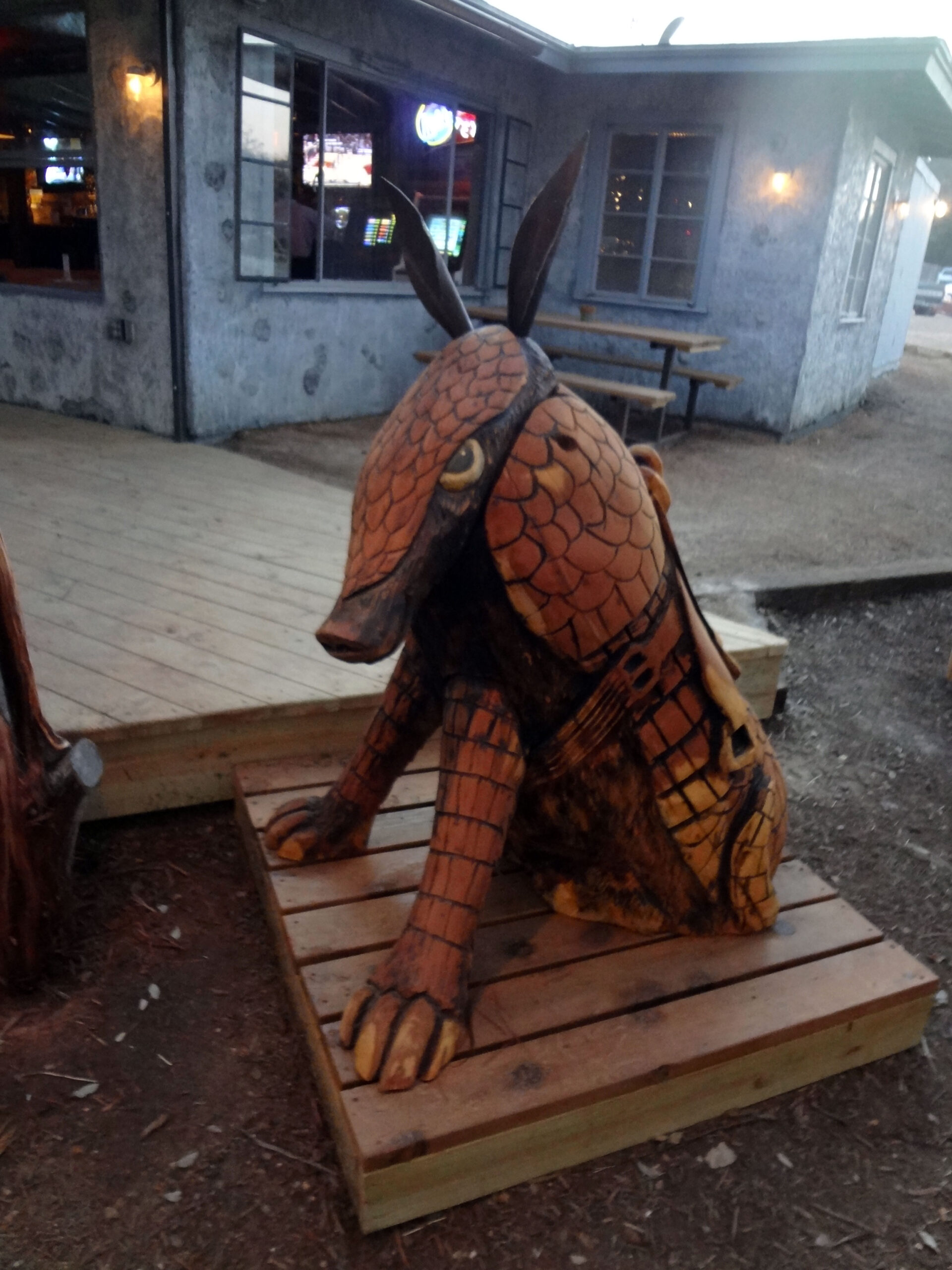 Crazy Wood Armadillo