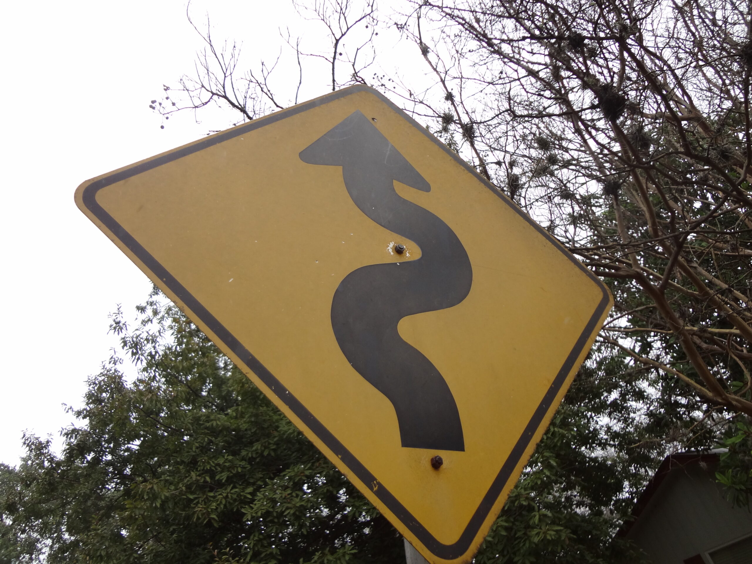 Curves Ahead