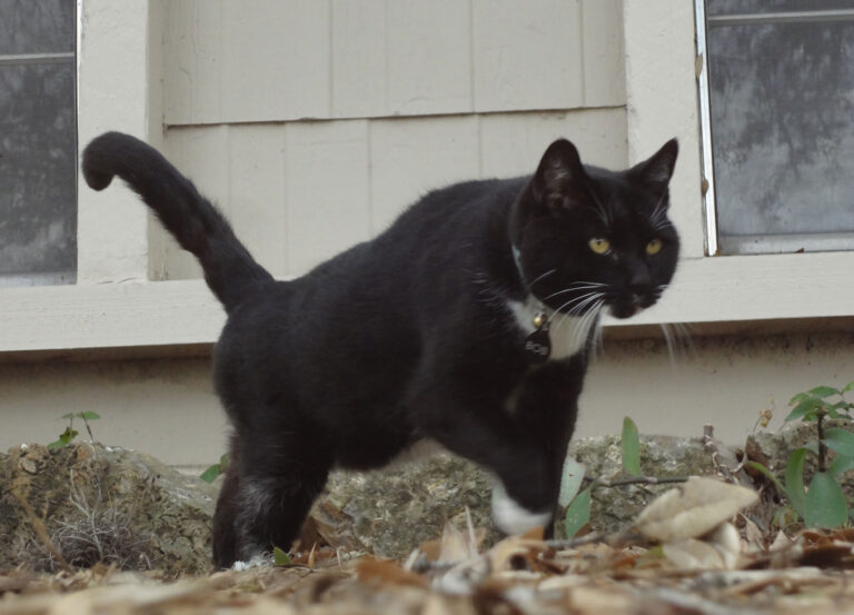 Ready for Any Danger…