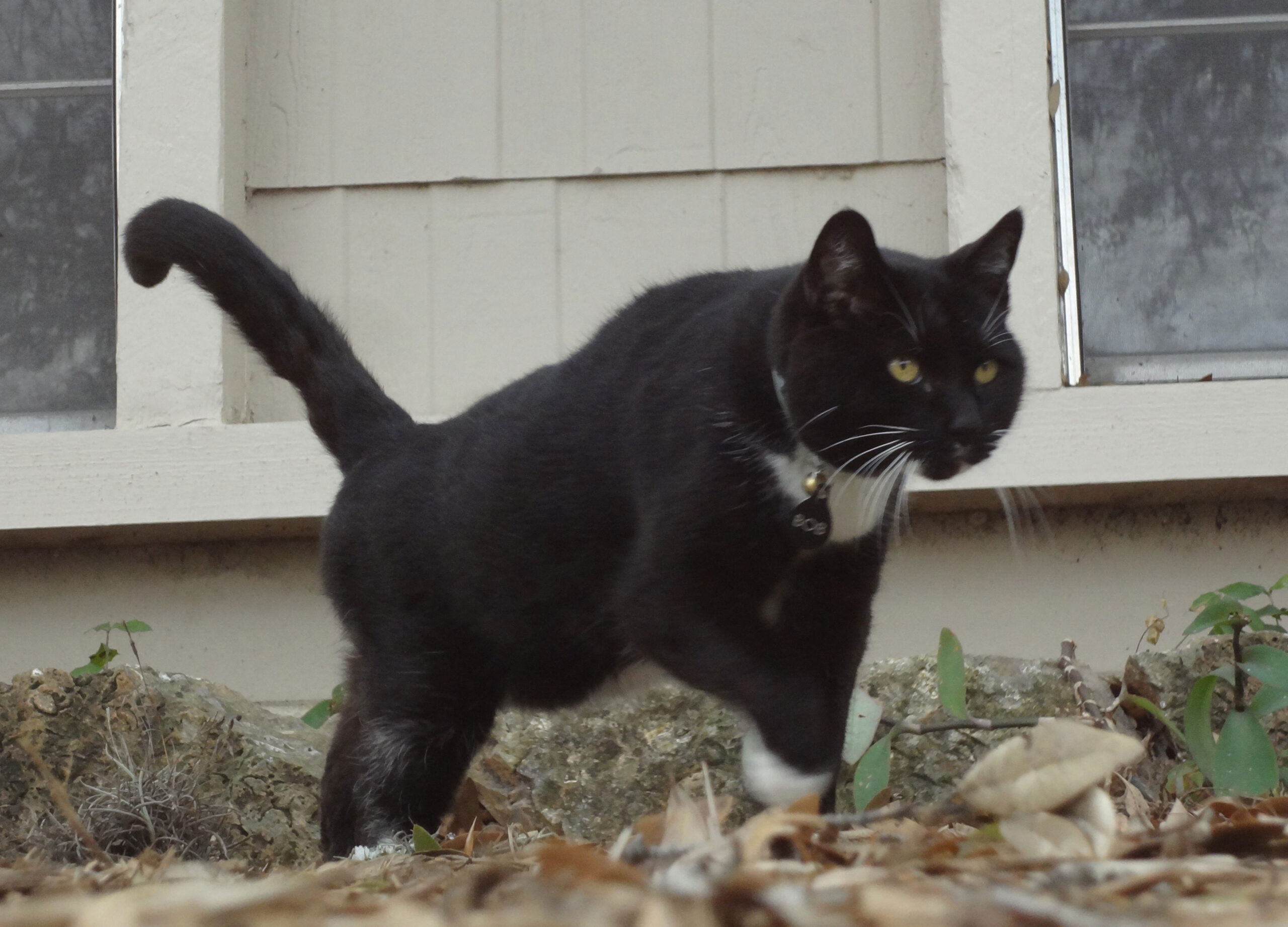 Ready for Any Danger…