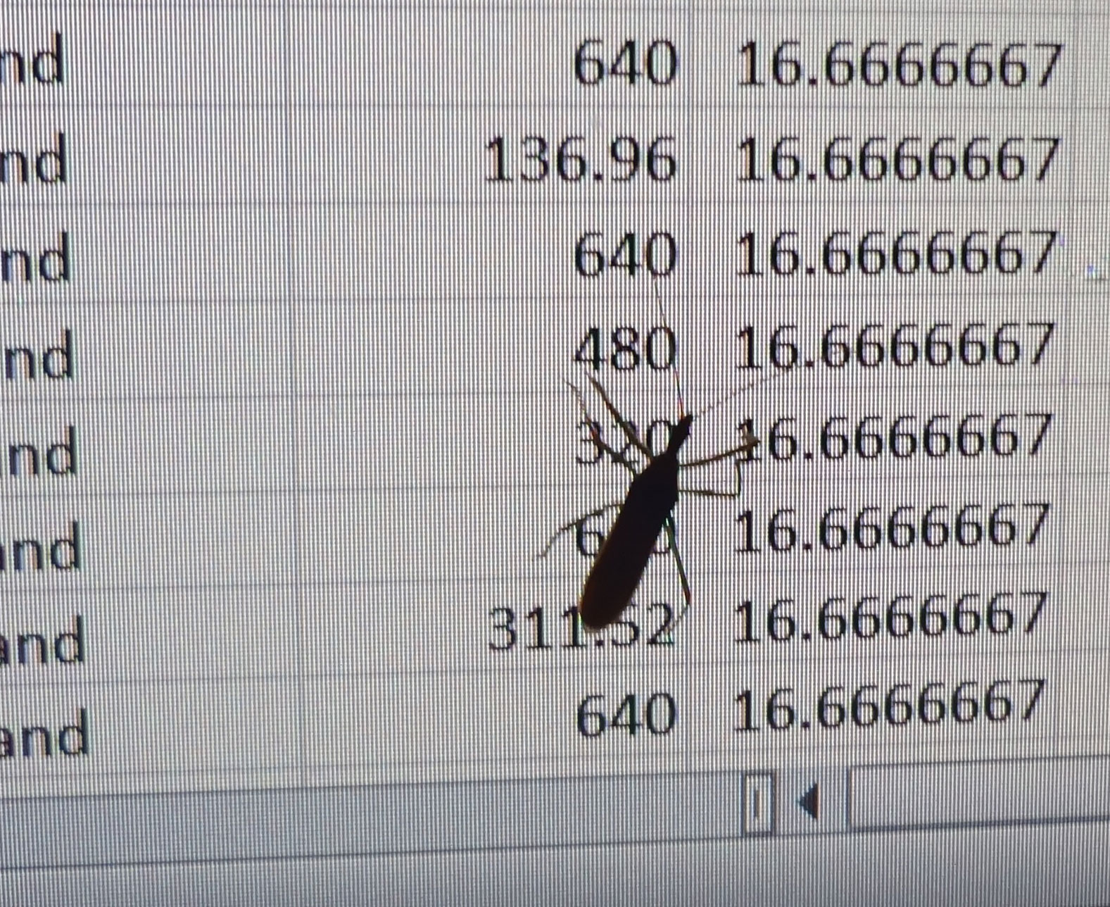 You Don’t Belong Here