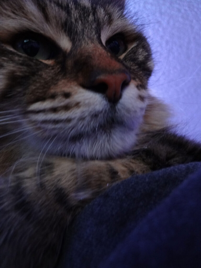 Let’s Pretend He’s not Drooling So Much