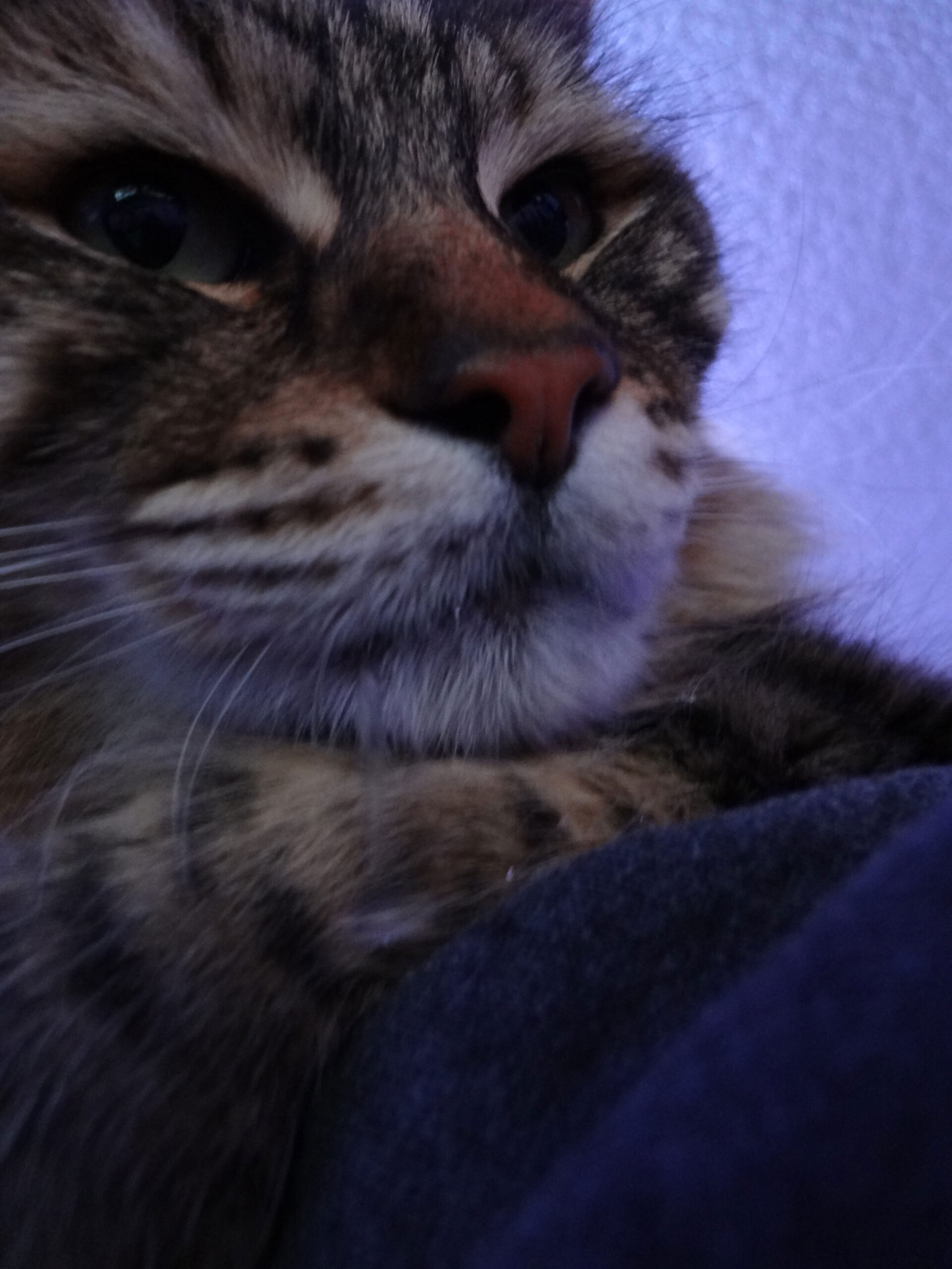 Let’s Pretend He’s not Drooling So Much