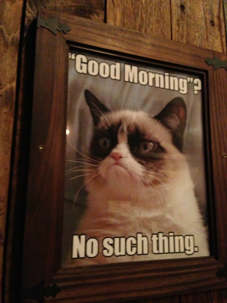 Grumpy Cat