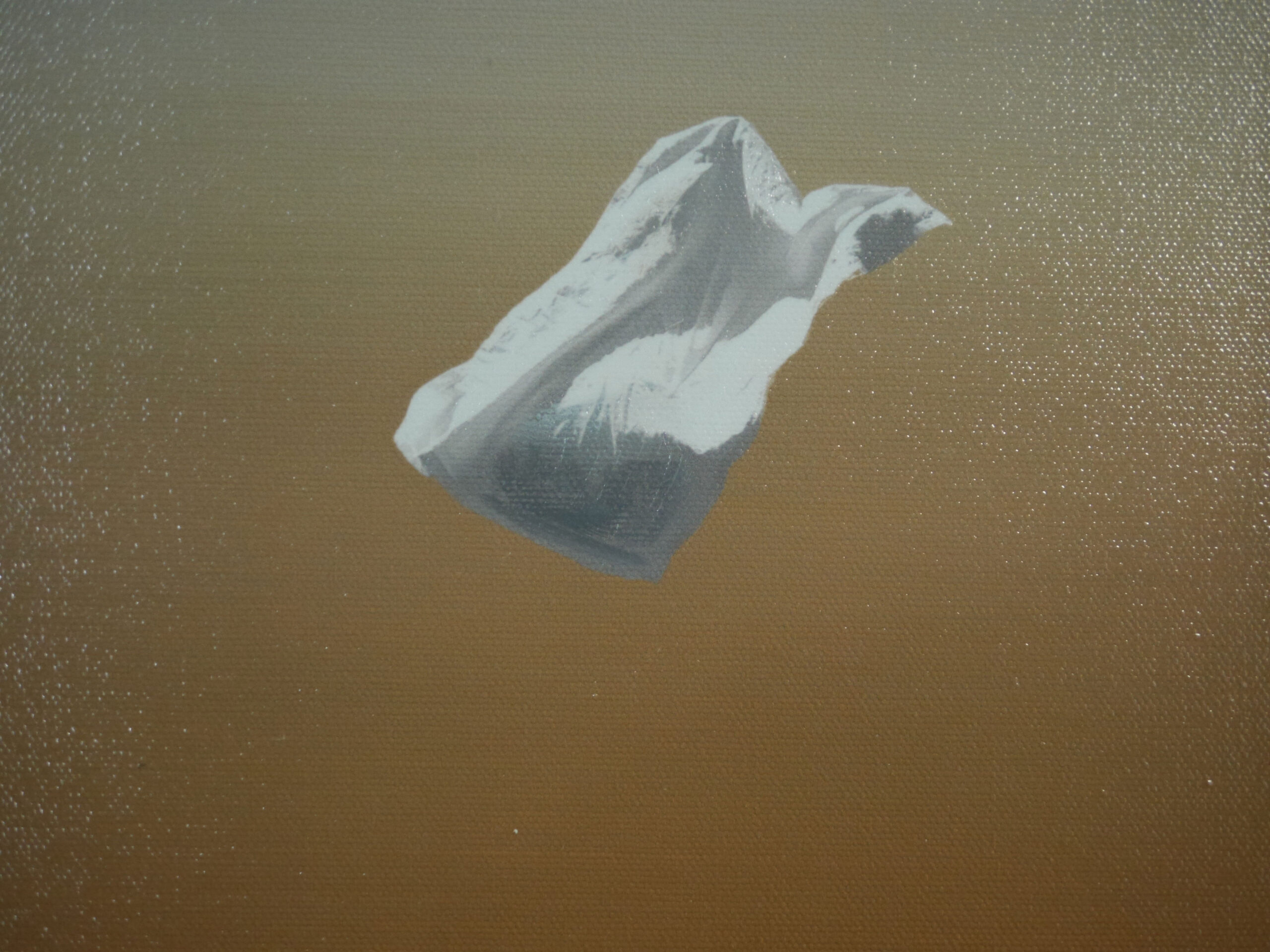 Sheet in the Wind Texture