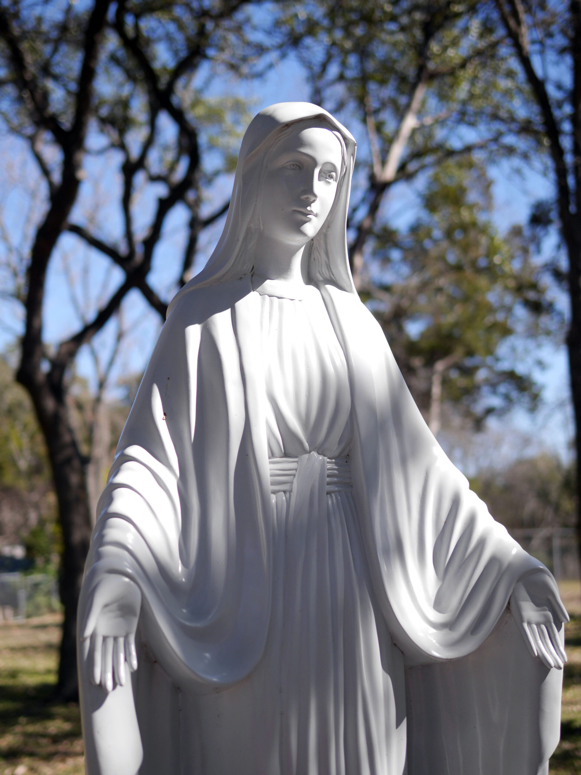 A Statue of Mary