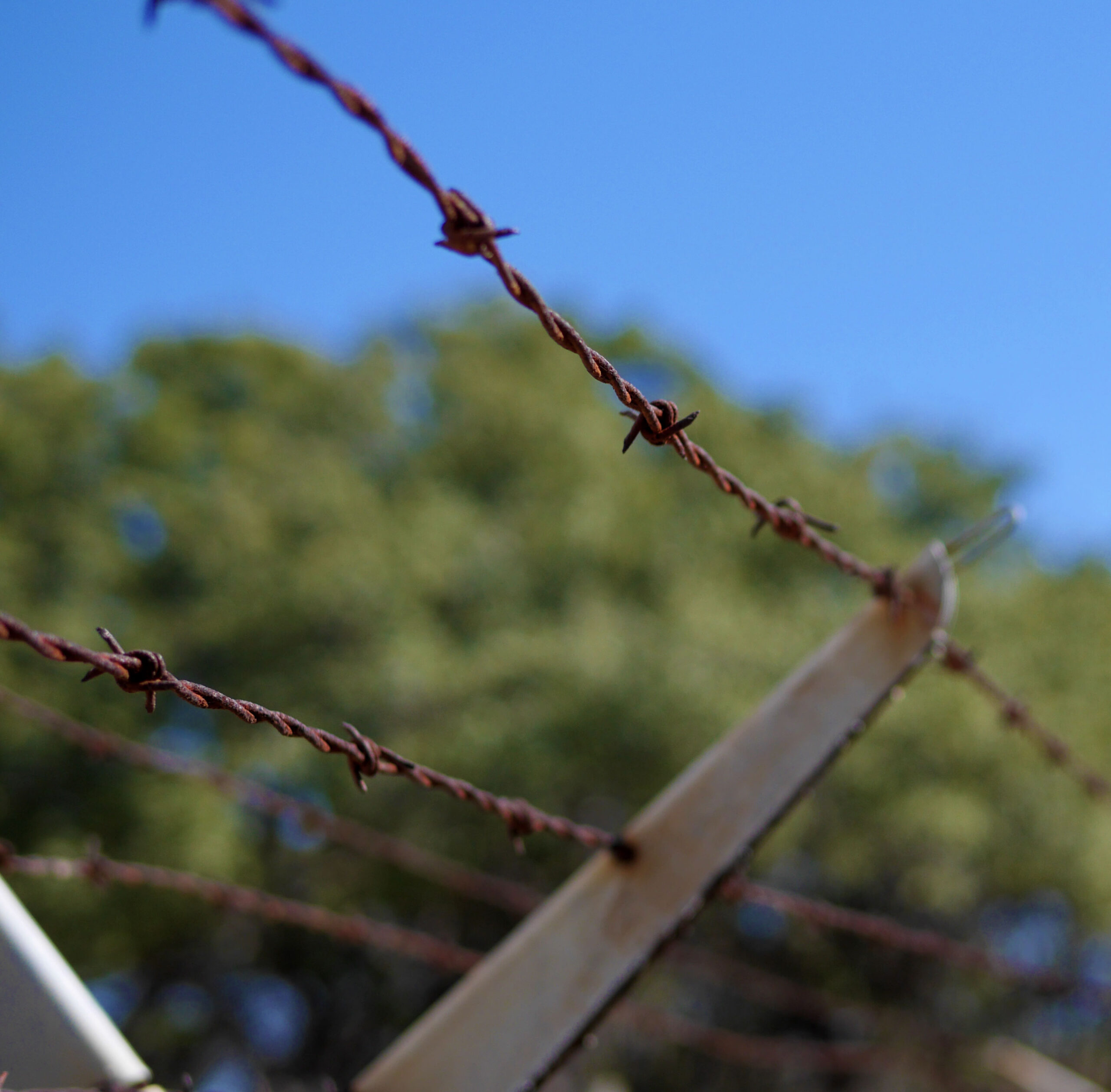 Barbed Wire