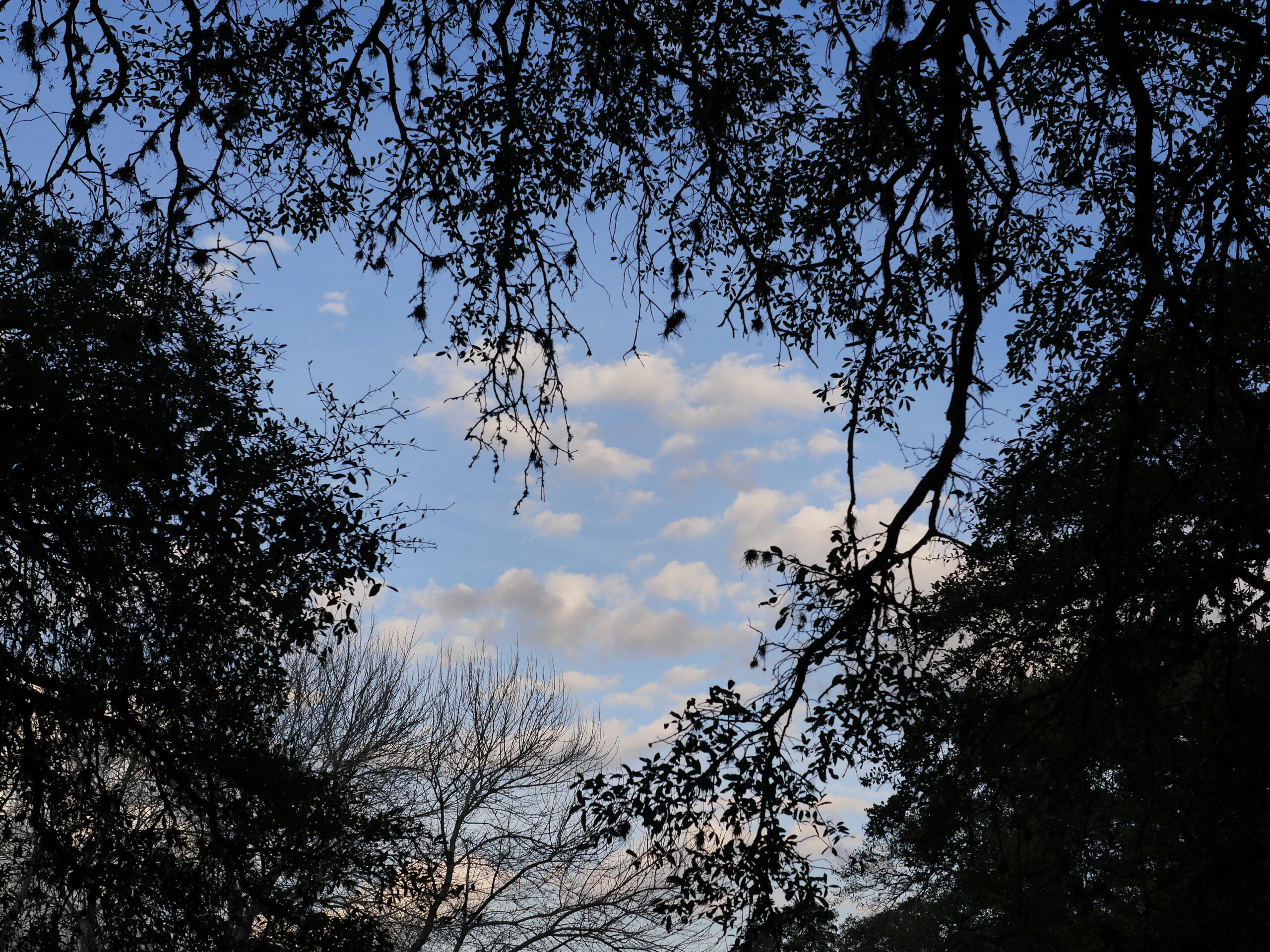 Clouds That Look Like a Painting