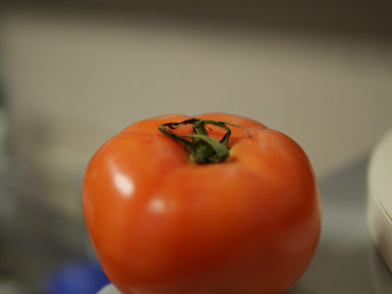 A Tomato