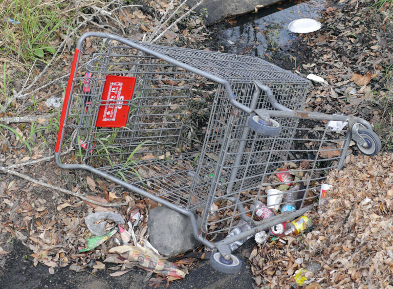 Shopping Cart Roll-Over