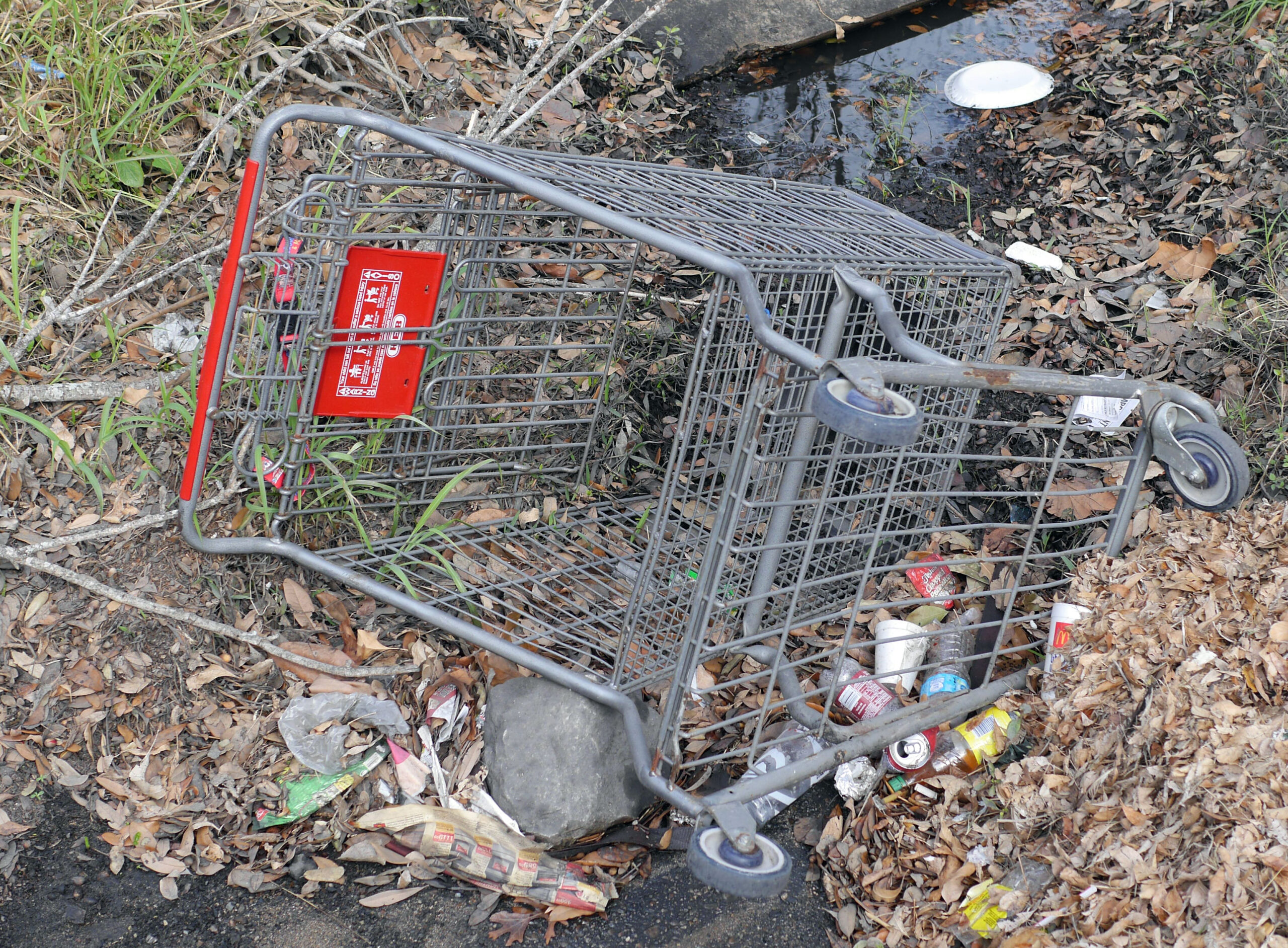 Shopping Cart Roll-Over