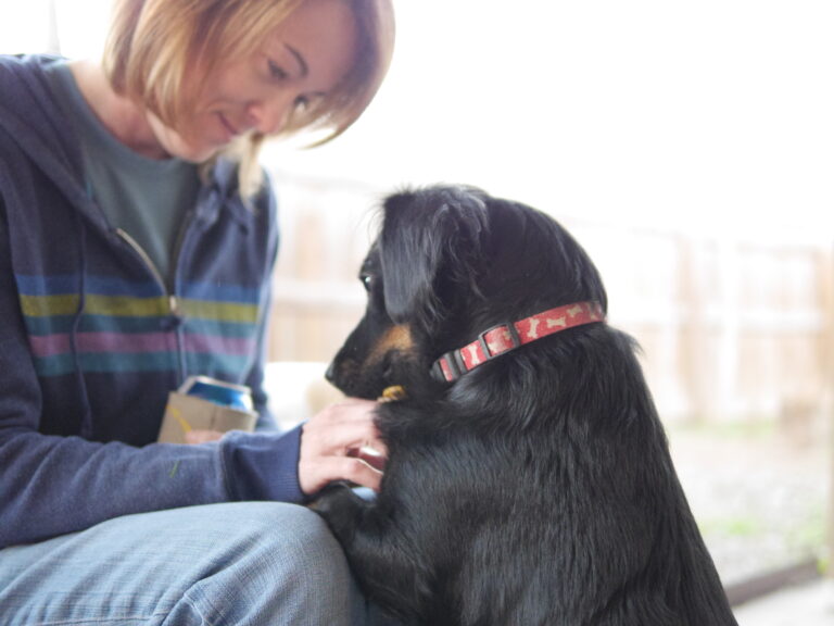 The Hound and a Hound!