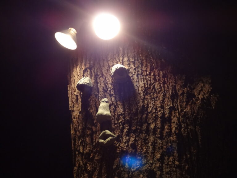 The Tree is Watching