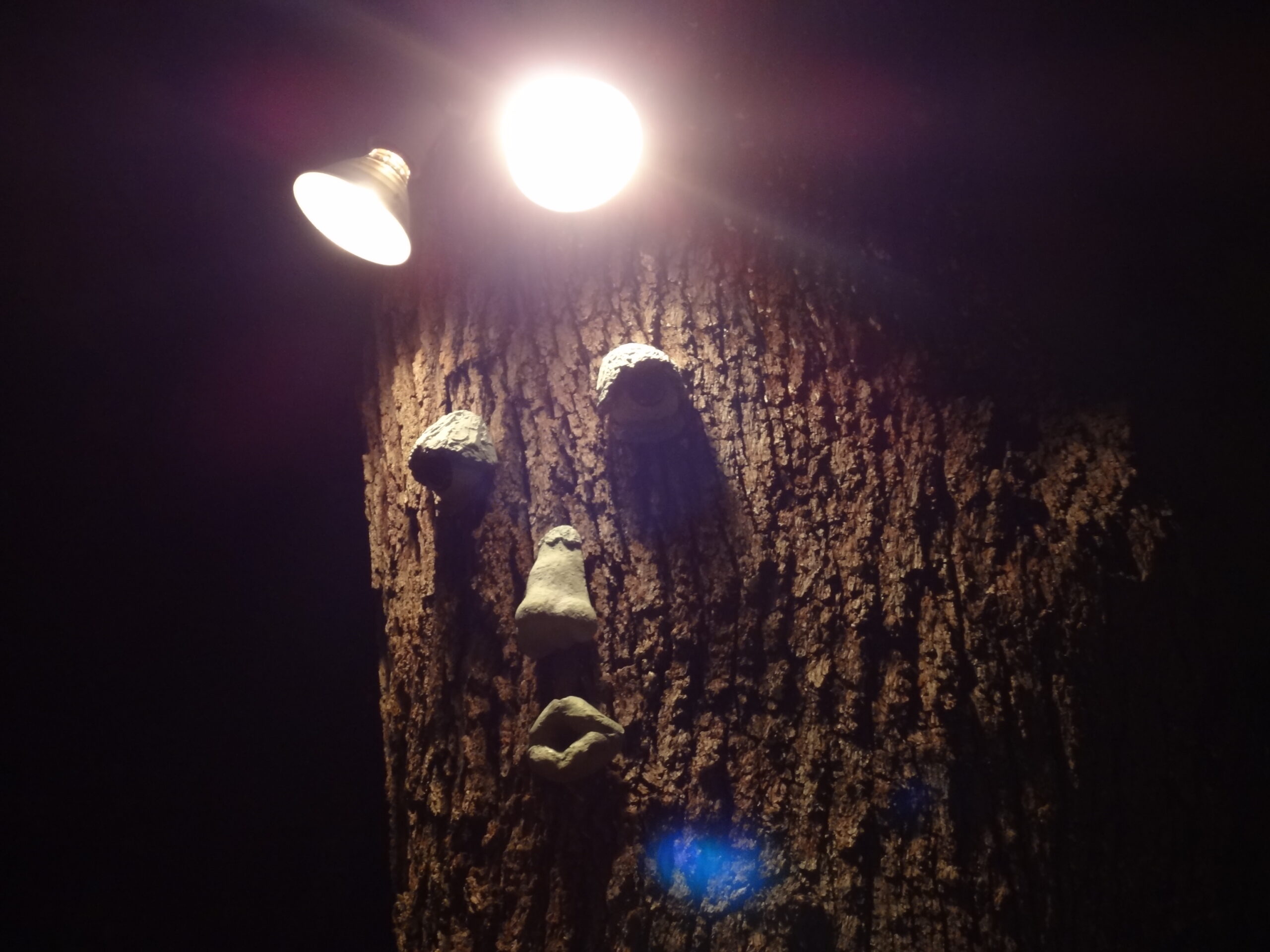 The Tree is Watching