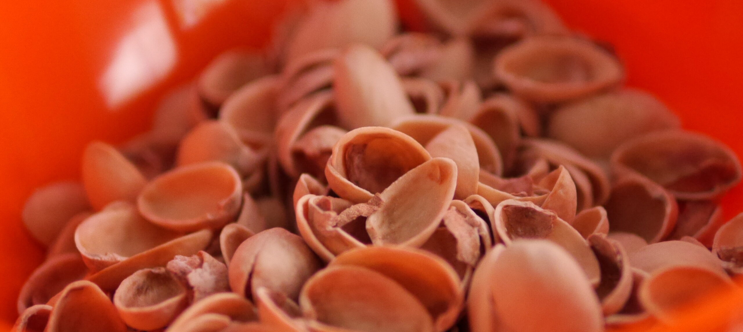 Sinful Pistachio Shells