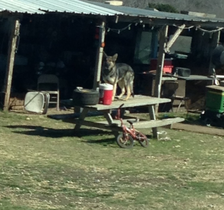 You Don’t Belong There