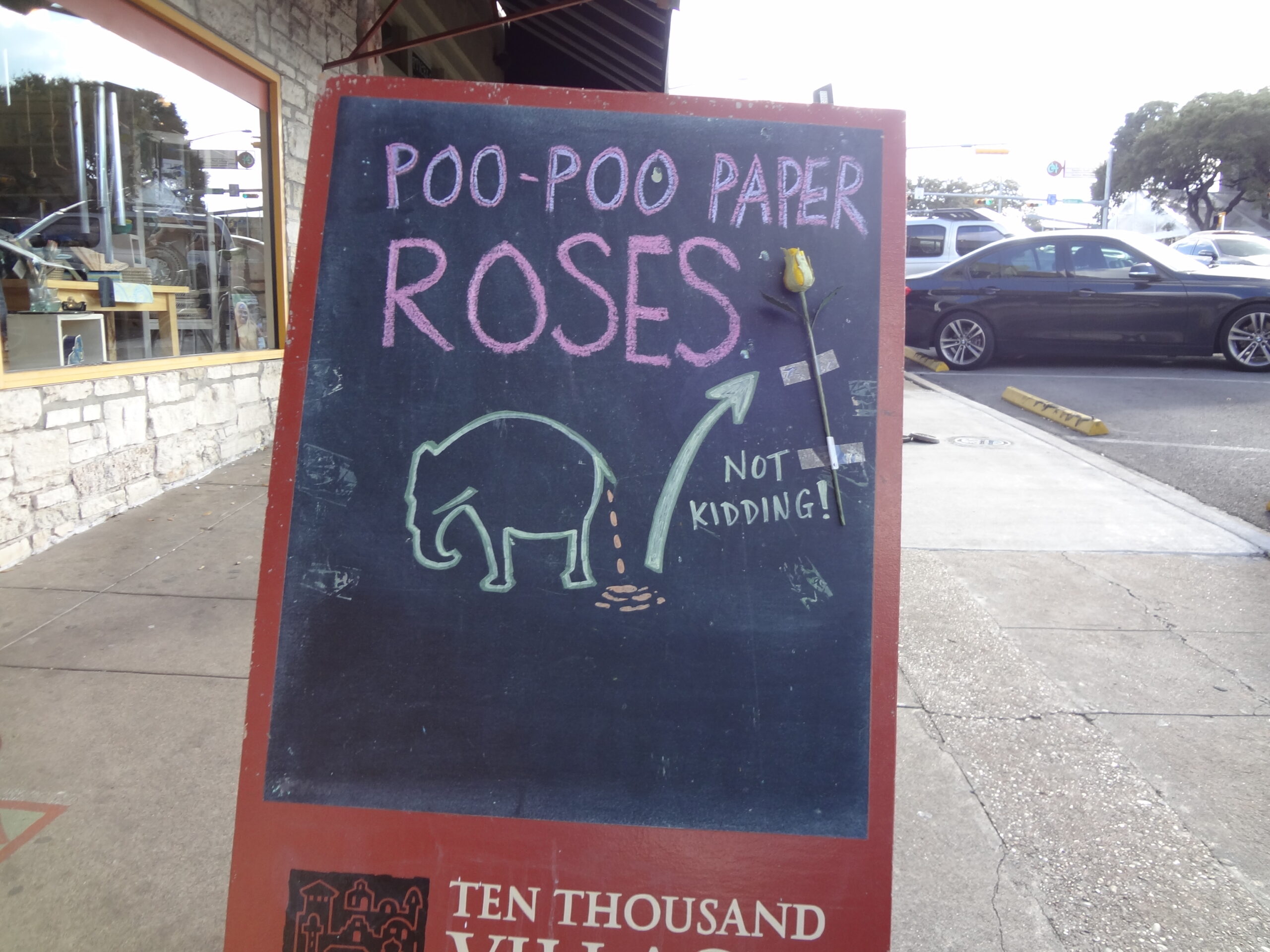 Poo-Poo Paper Roses (Not Kidding!)