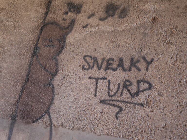 Sneaky Turd